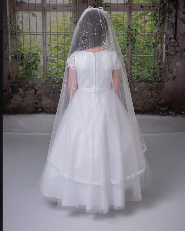 sleek dressLace Veil